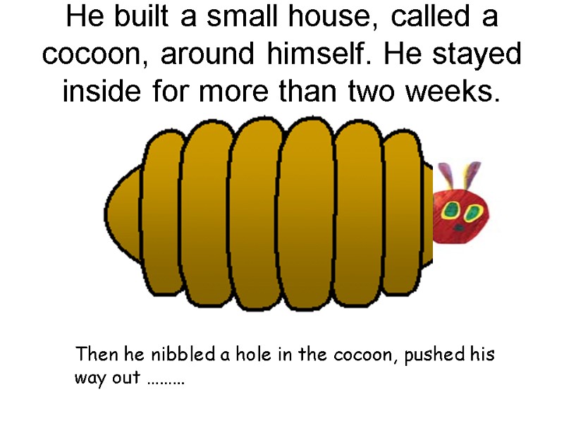 He built a small house, called a cocoon, around himself. He stayed inside for